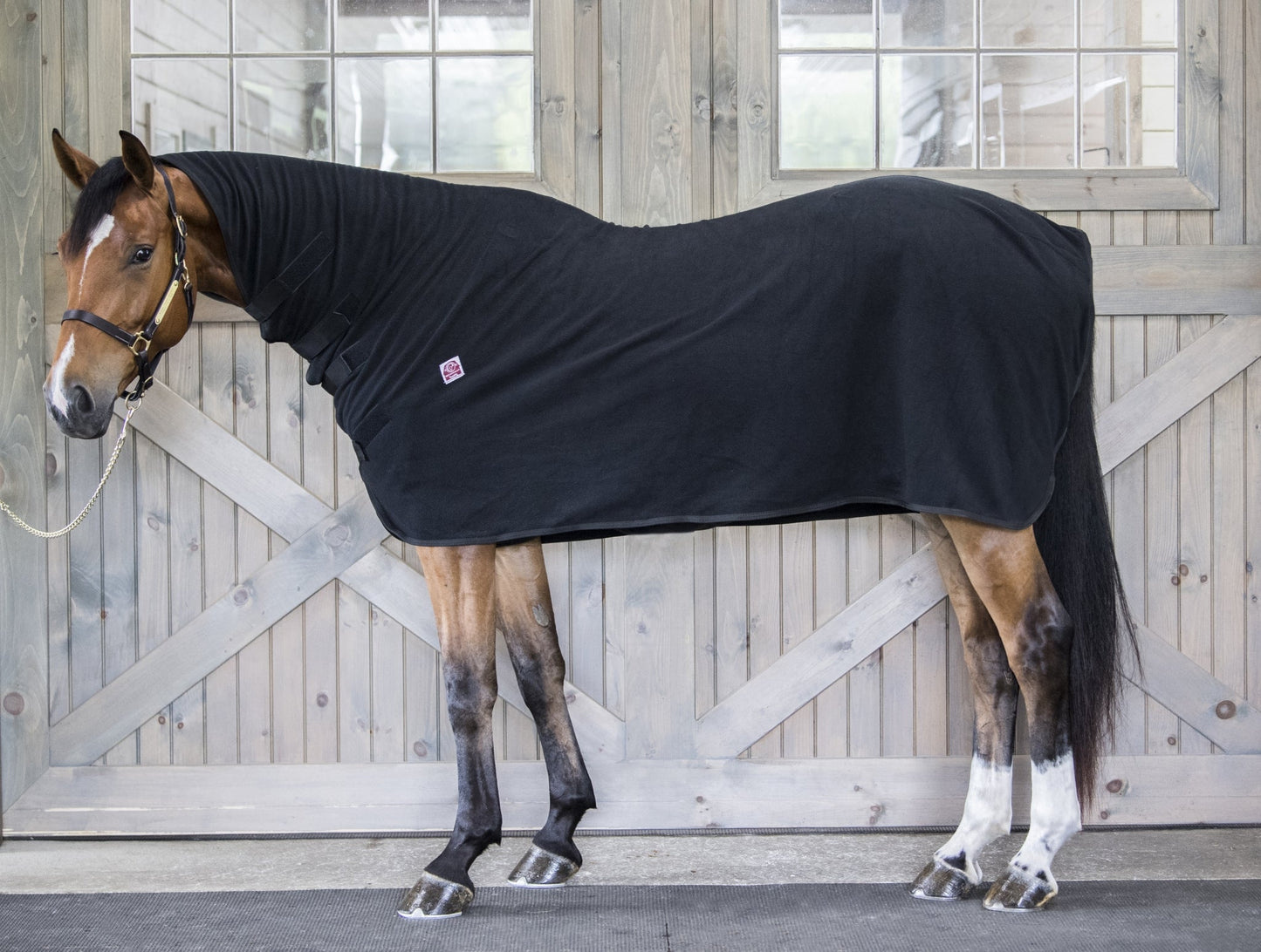 WikSmart Premium Cooler