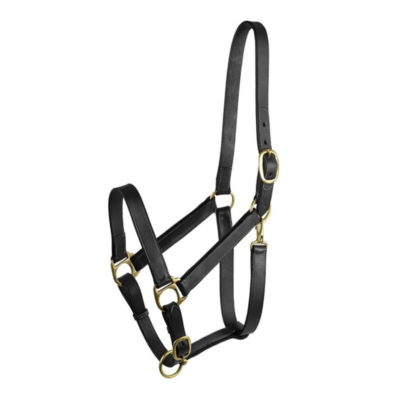 Gatsby Adj Turnout Halter with Snap