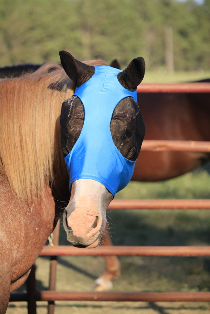 Blue Fly Mask