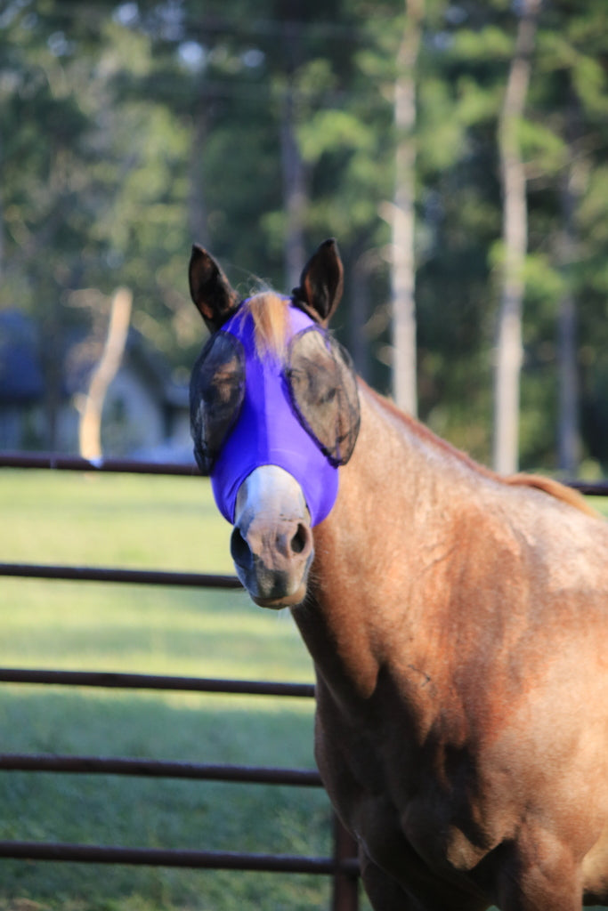 Purple Fly Mask