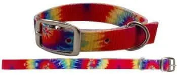 Tye Dye print nylon dog collar