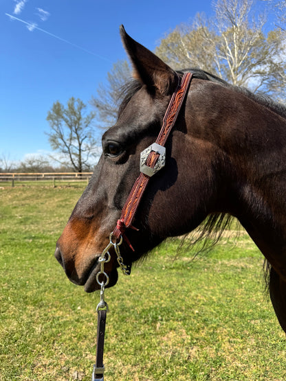 The 6” Open Horse bit