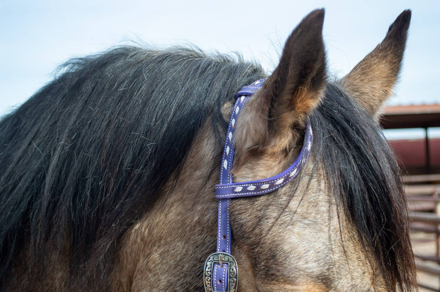 Buckstitchin’ Beauty Purple Tack Set
