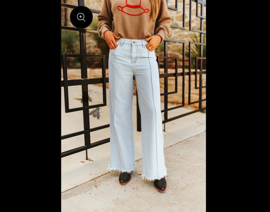 2 Fly Co. ™️ Whistle Britches Jeans
