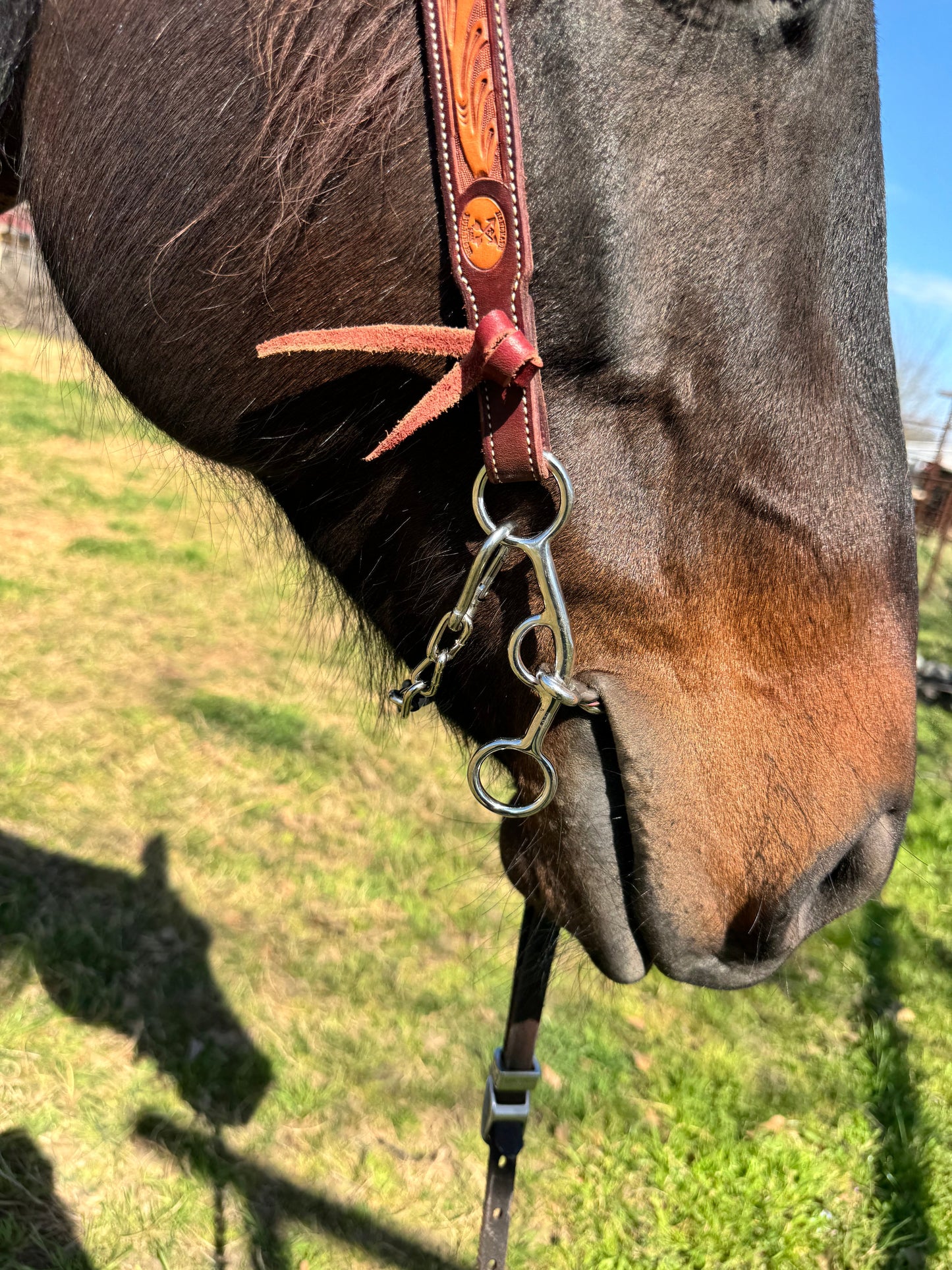 The 6” Open Horse bit