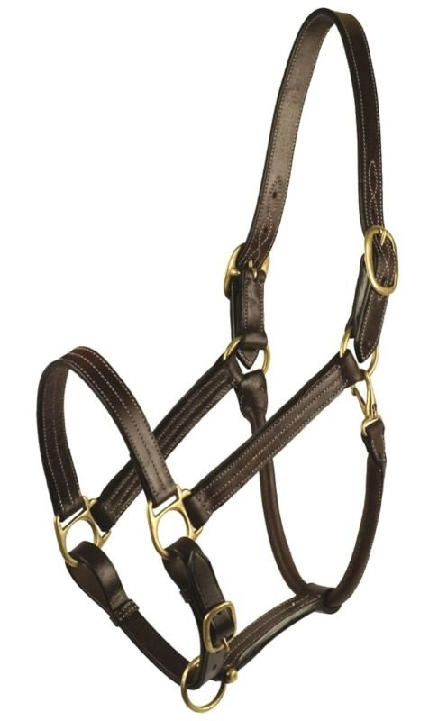 Gatsby Premium Adj Triple Stitched Halter