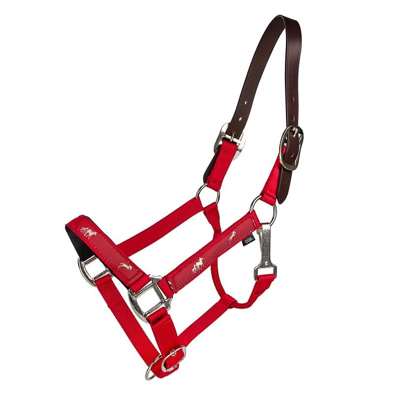 Gatsby Nylon Breakaway Halter Overlay
