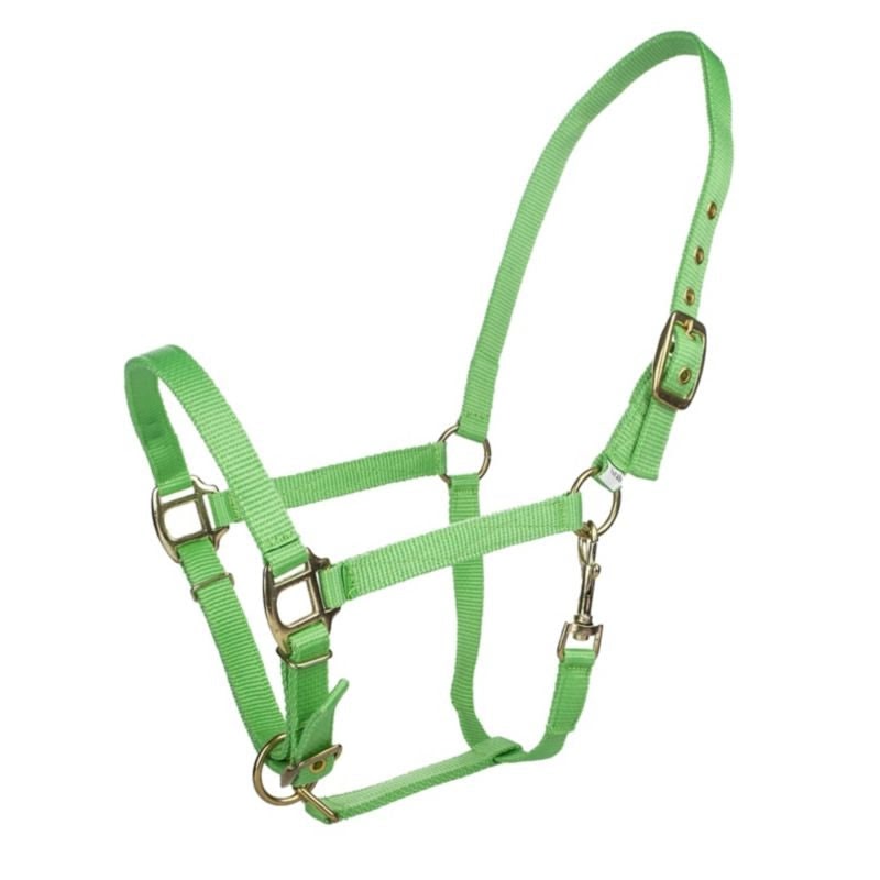 Tabelo Arab Nylon Halter with Snap