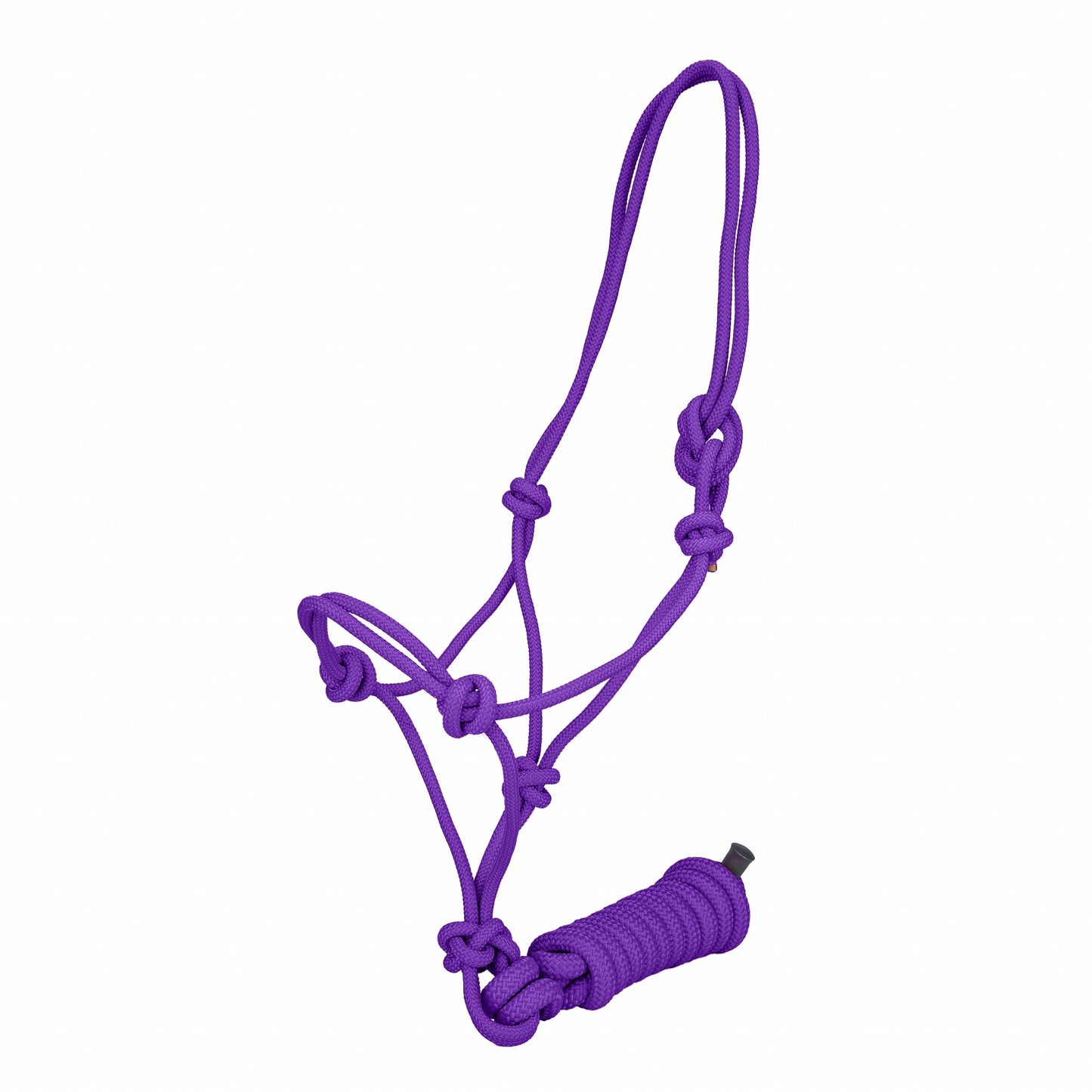 Tabelo Draft Rope Halter with Lead