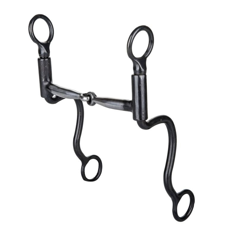 Tabelo Brushed Cavalry Curb Bit 5