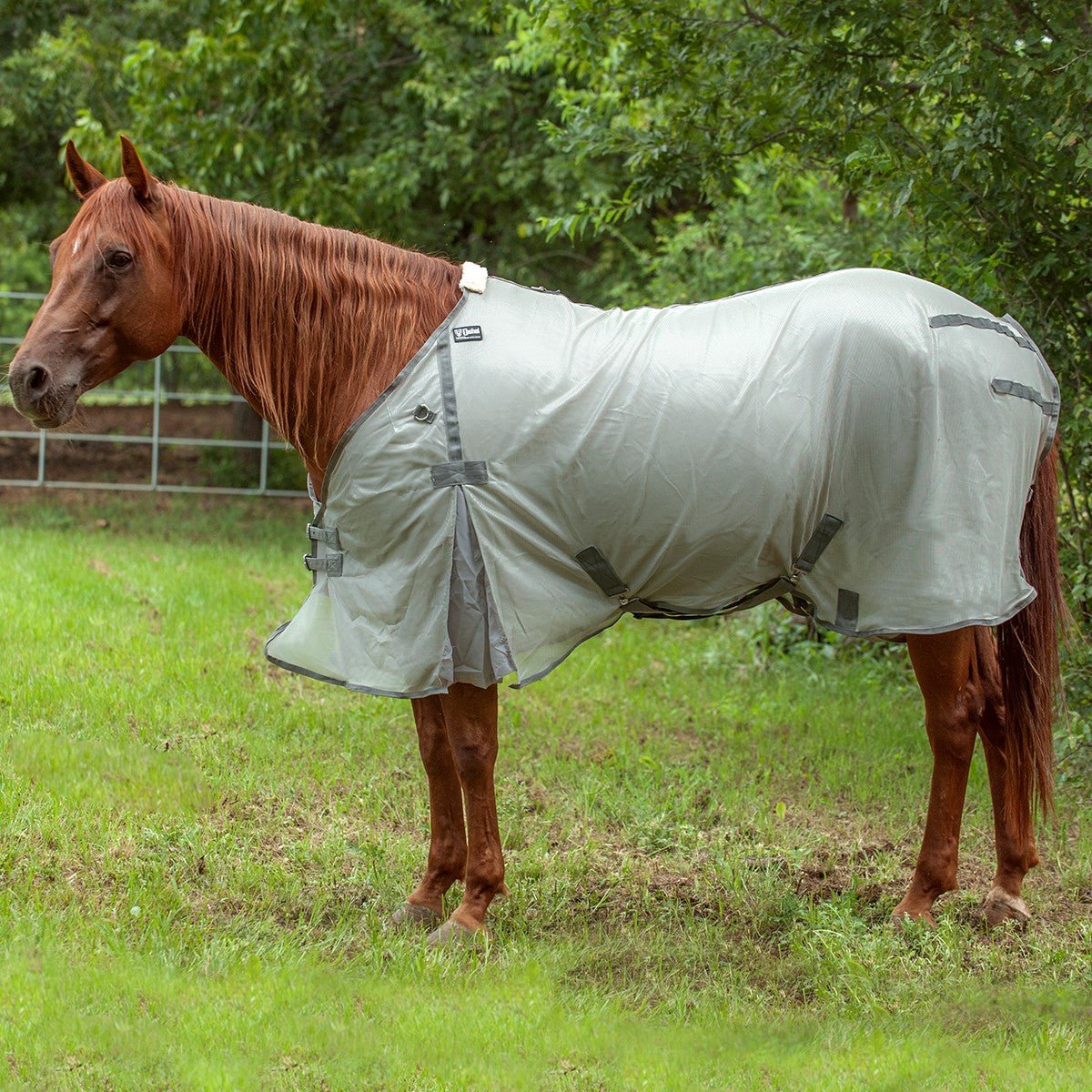 Cashel Economy Standard Neck Fly Sheet for Horses - Lightweight, UV & Insect Protection
