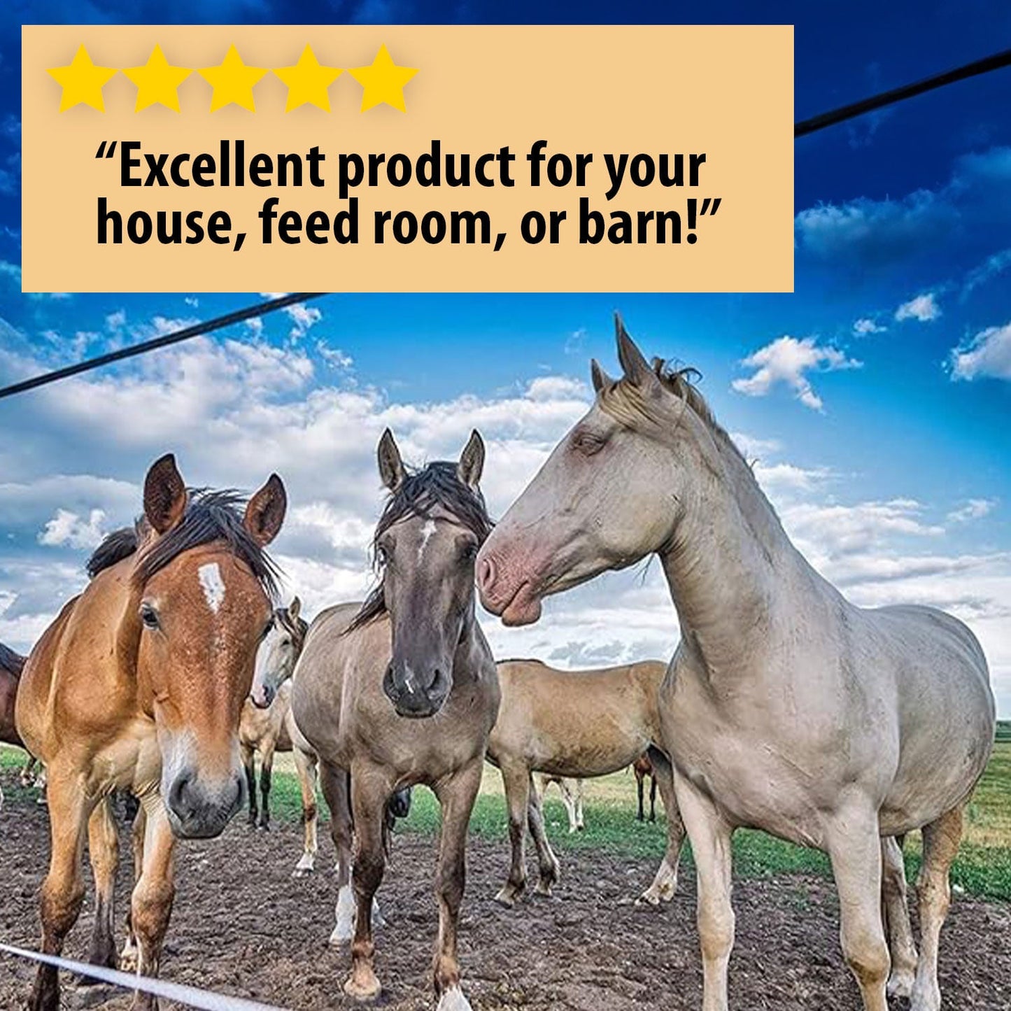 Country Vet Metered Fly Spray