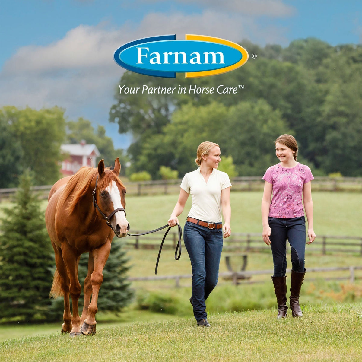 Farnam Equisect Water-Based Botanical Fly Repellent for Horses, Dogs and Cats