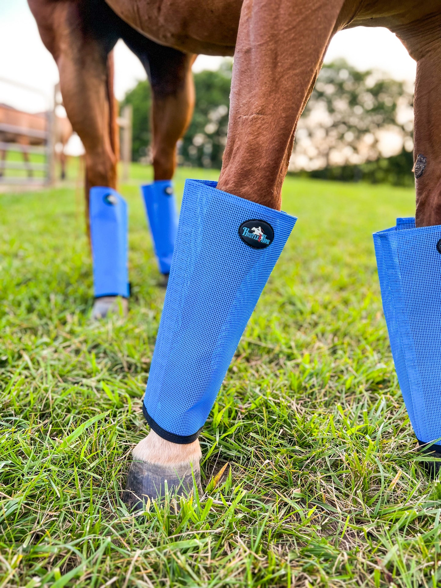 Ocean Blue Fly Boots