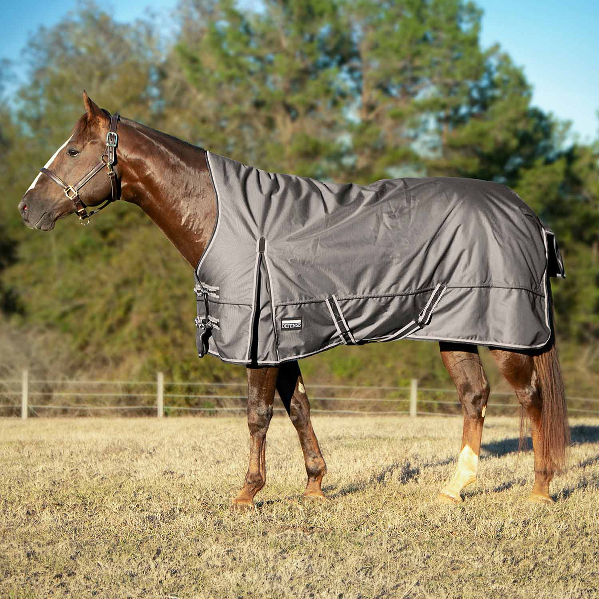 Jeffers Poplar Head "Defense" 1680 Denier Turnout Blanket with High Neck, 240 Gram, Plymouth Brown