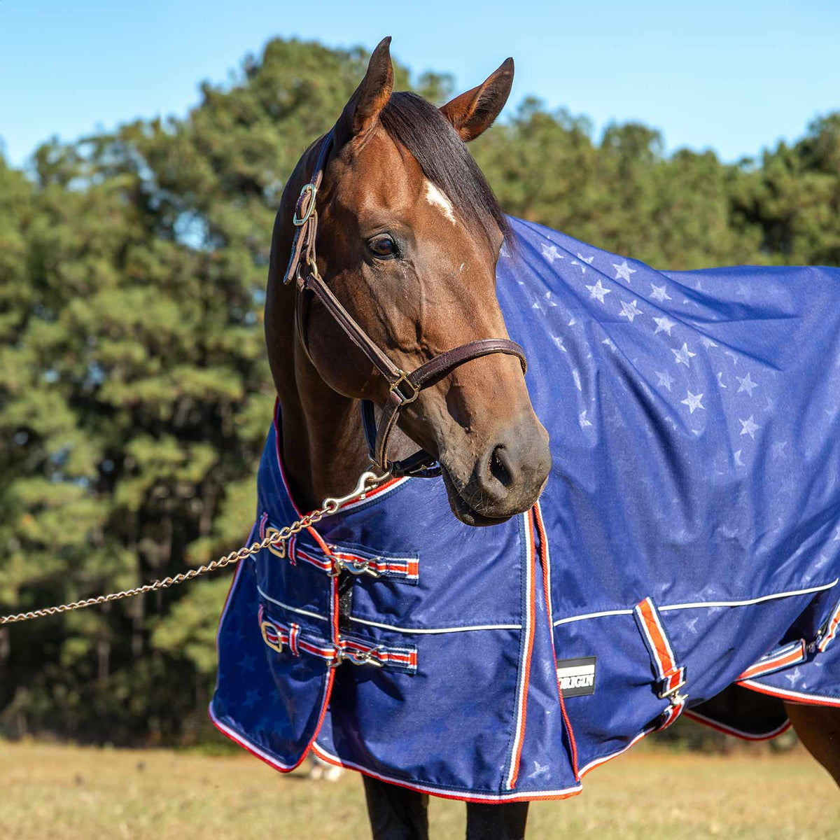 Jeffers Poplar Head "Origin" 600D Medium Weight Turnout Blanket, 240g | Waterproof & Breathable Horse Blanket