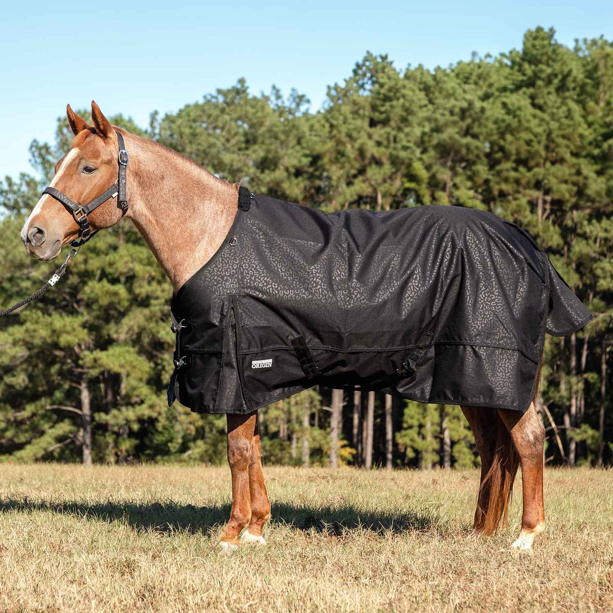 Jeffers Poplar Head "Origin" 600D Medium Weight Turnout Blanket, 240g | Waterproof & Breathable Horse Blanket