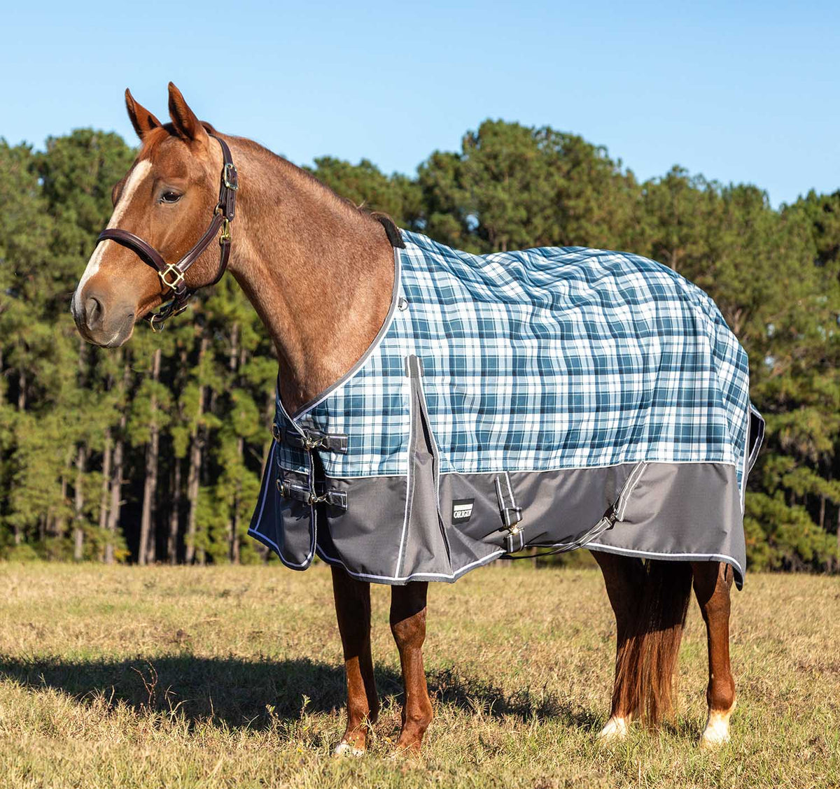 Jeffers Poplar Head "Origin" 600D Medium Weight Turnout Blanket, 240g | Waterproof & Breathable Horse Blanket