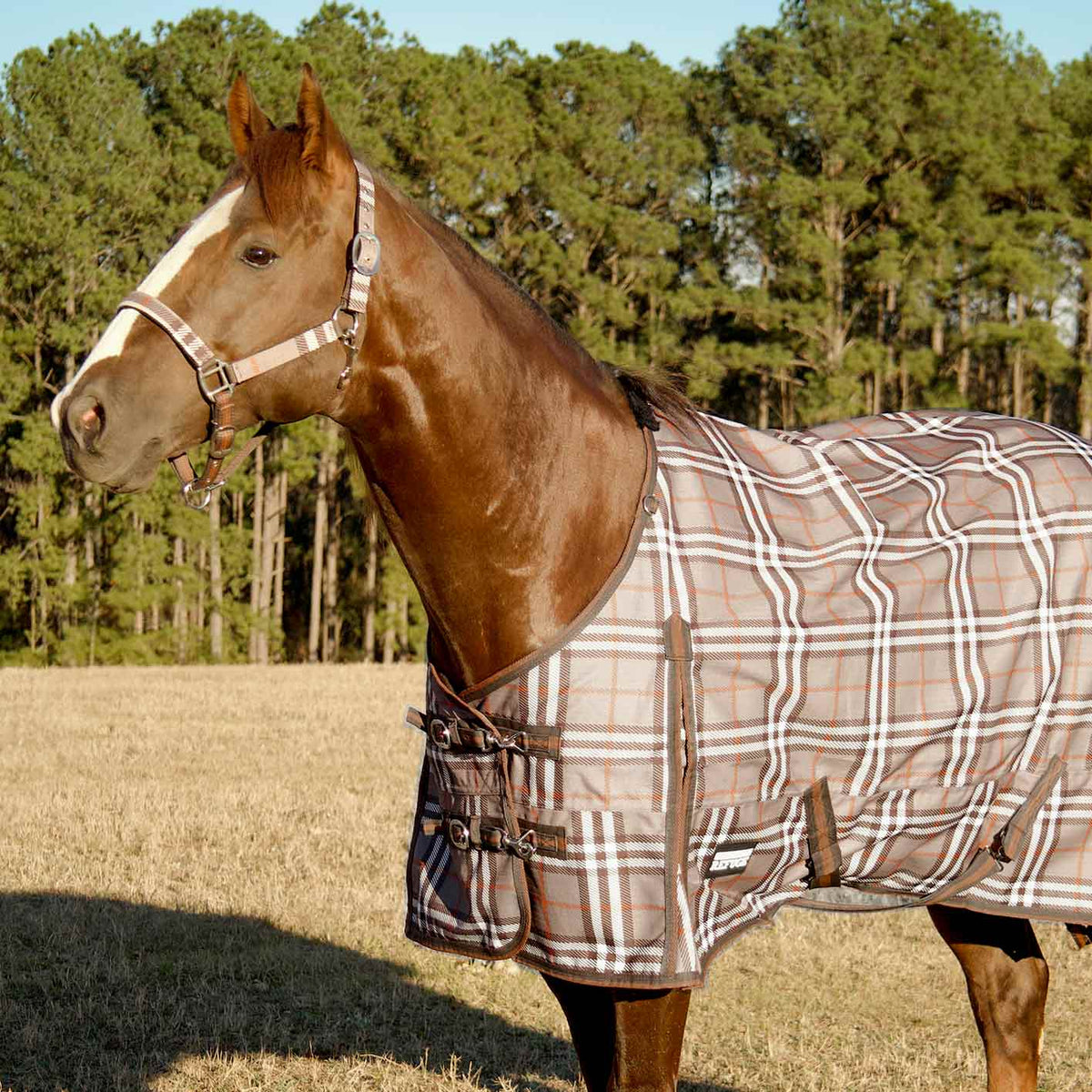 Jeffers Poplar Head "Refuge" 1200D Medium Weight Turnout Blanket, 240g - Waterproof, Breathable Horse Blanket