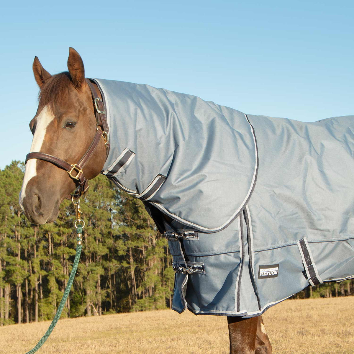 Jeffers Poplar Head "Refuge" 1200 Denier Turnout Blanket with Detachable Neck, 240 Gram, Hamilton Blue