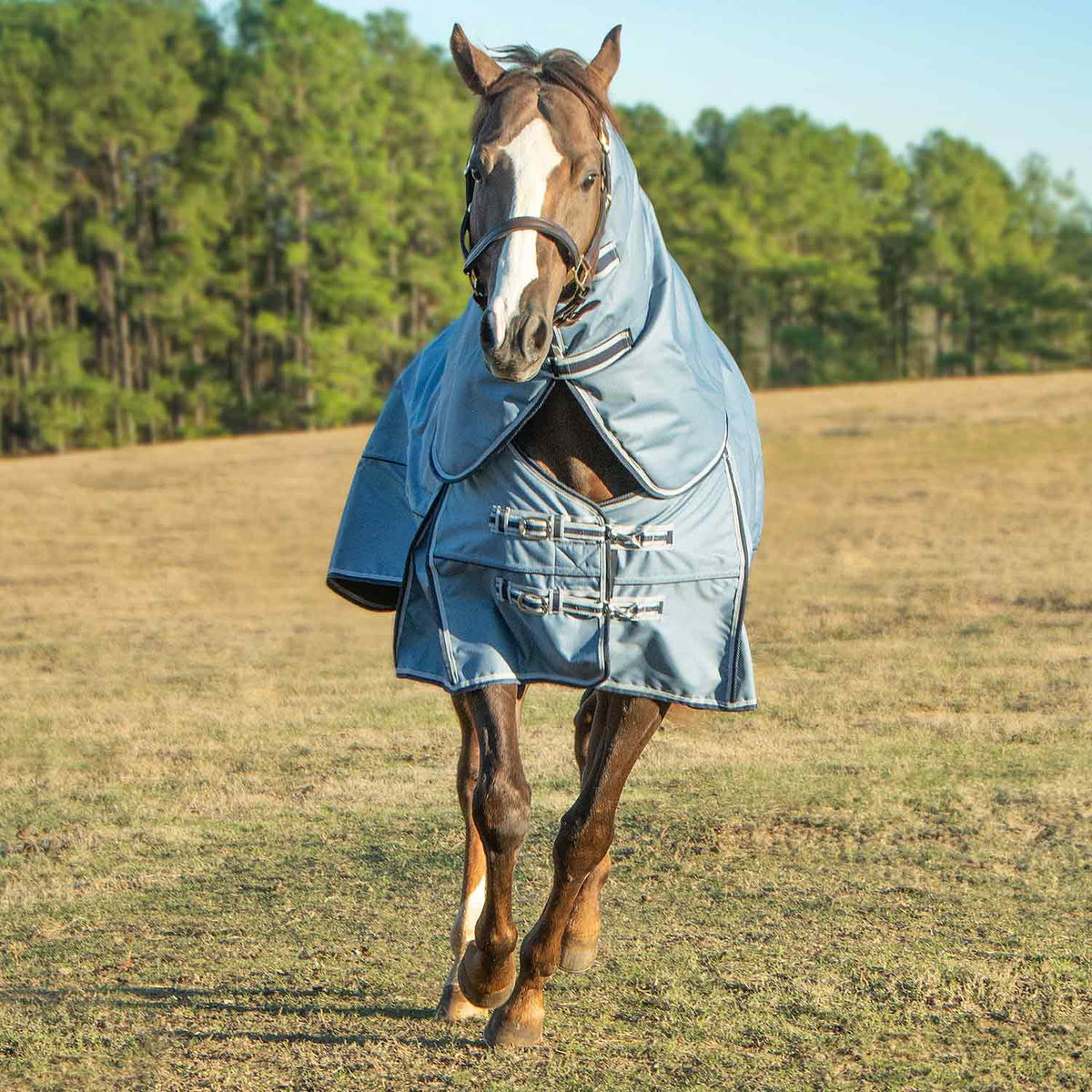 Jeffers Poplar Head "Refuge" 1200 Denier Turnout Blanket with Detachable Neck, 360 Gram, Hamilton Blue