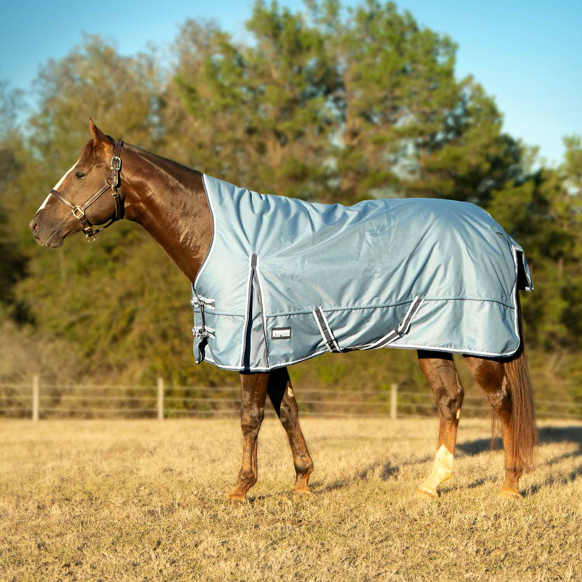 Jeffers Poplar Head "Refuge" 1200 Denier Turnout Blanket with High Neck, 240 Gram, Hamilton Blue