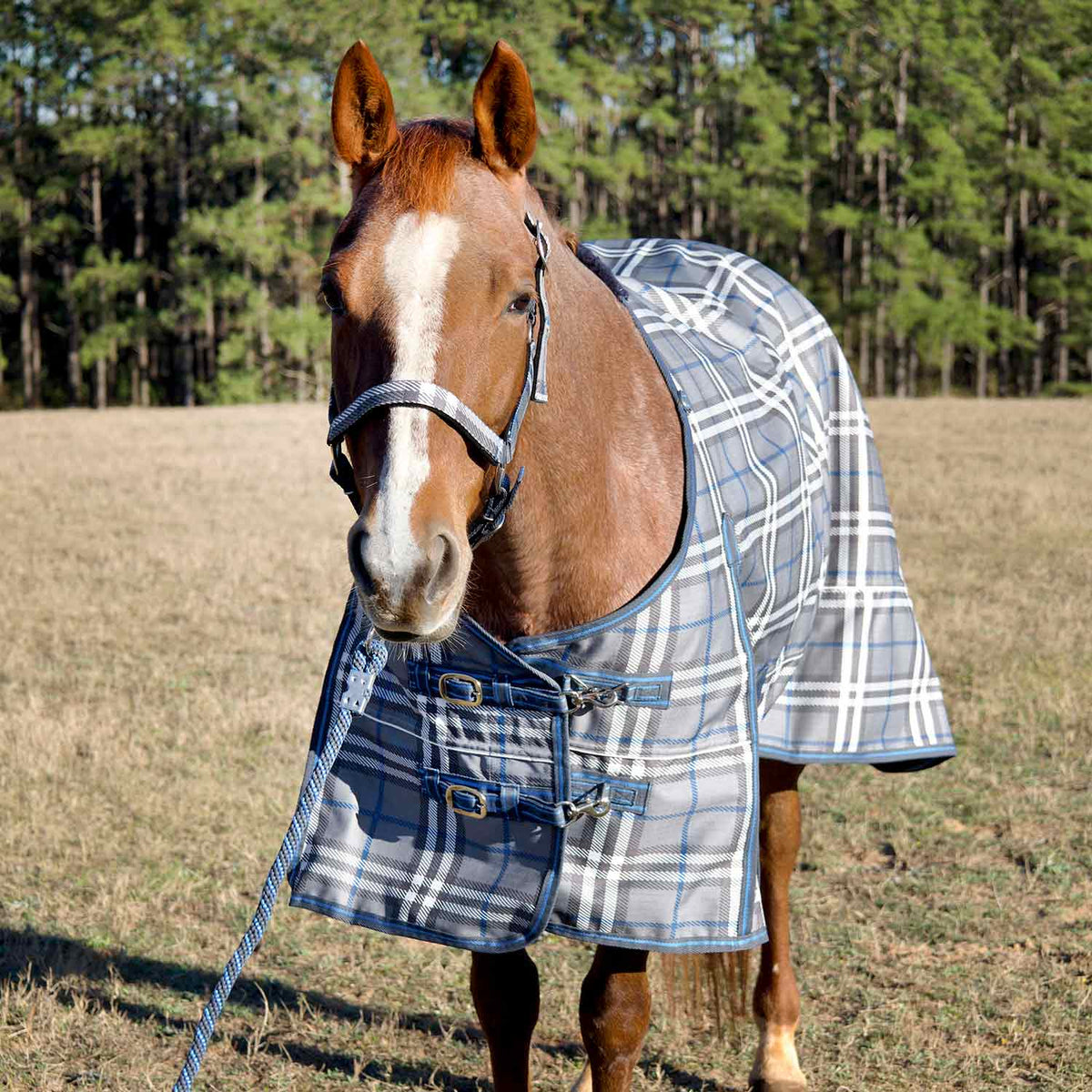 Jeffers Poplar Head "Refuge" 1200D Waterproof Turnout Sheet, 0g Lightweight Horse Blanket